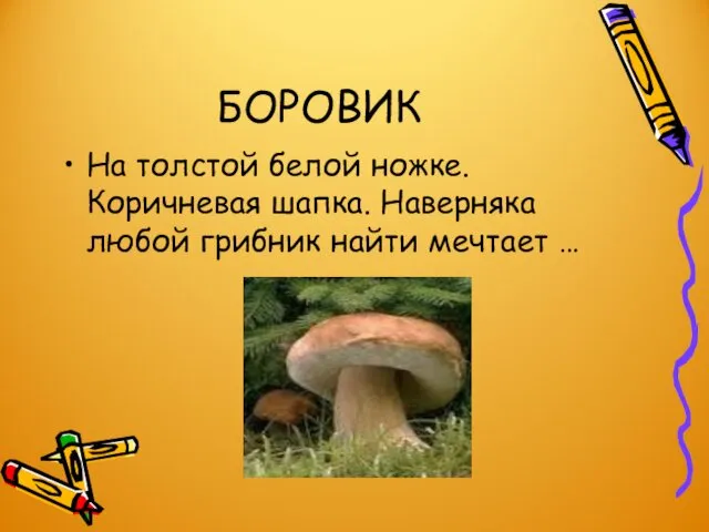 БОРОВИК На толстой белой ножке. Коричневая шапка. Наверняка любой грибник найти мечтает …