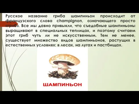 Русское название гриба шампиньон происходит от французского слова champignon, означающего