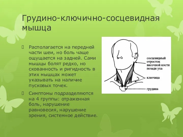 Грудино-ключично-сосцевидная мышца Располагается на передней части шеи, но боль чаще