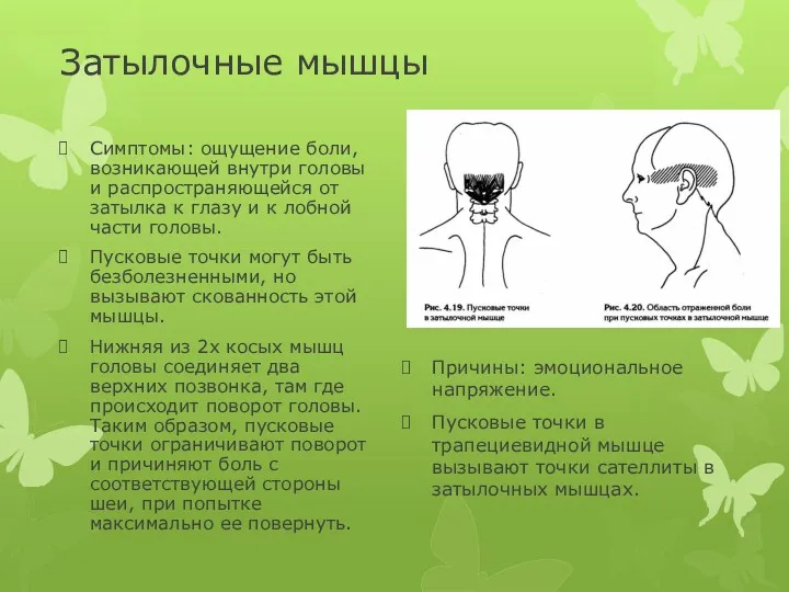 Затылочные мышцы Симптомы: ощущение боли, возникающей внутри головы и распространяющейся