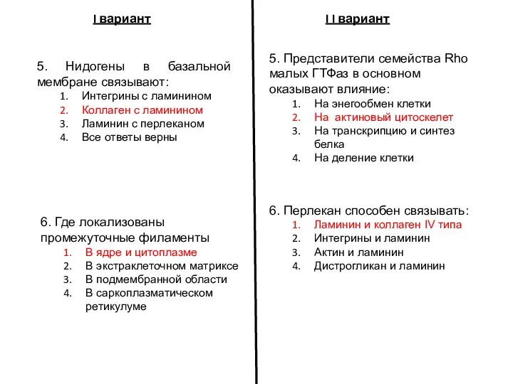 I вариант I I вариант 5. Нидогены в базальной мембране