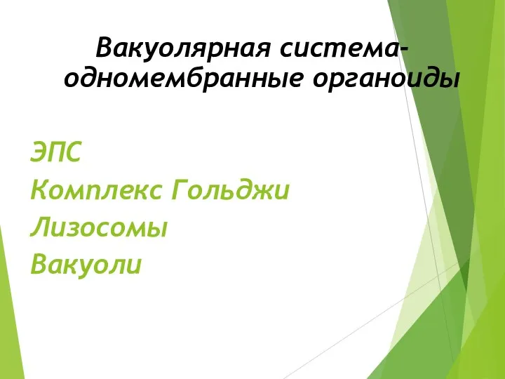 Вакуолярная система- одномембранные органоиды ЭПС Комплекс Гольджи Лизосомы Вакуоли