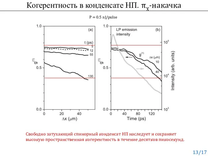 Когерентность в конденсате НП. πX-накачка Свободно затухающий спинорный конденсат НП