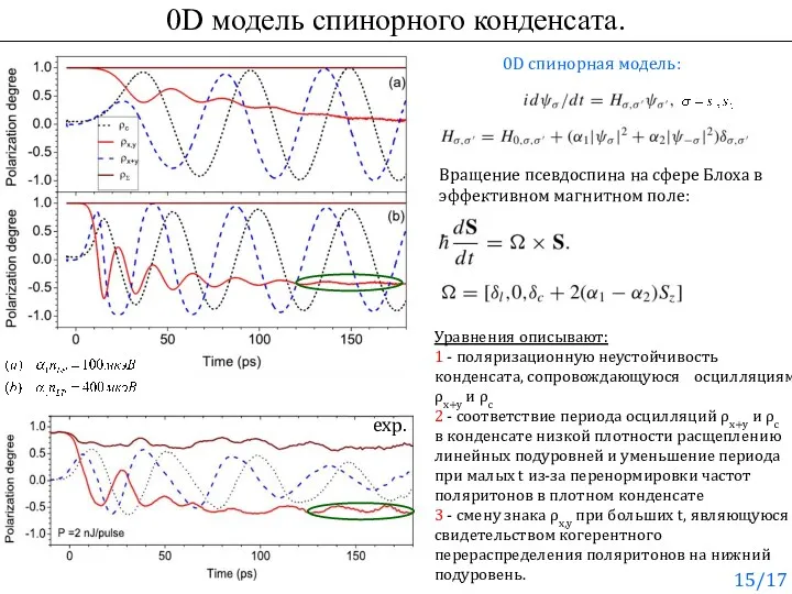 0D модель спинорного конденсата. exp. Уравнения описывают: 1 - поляризационную