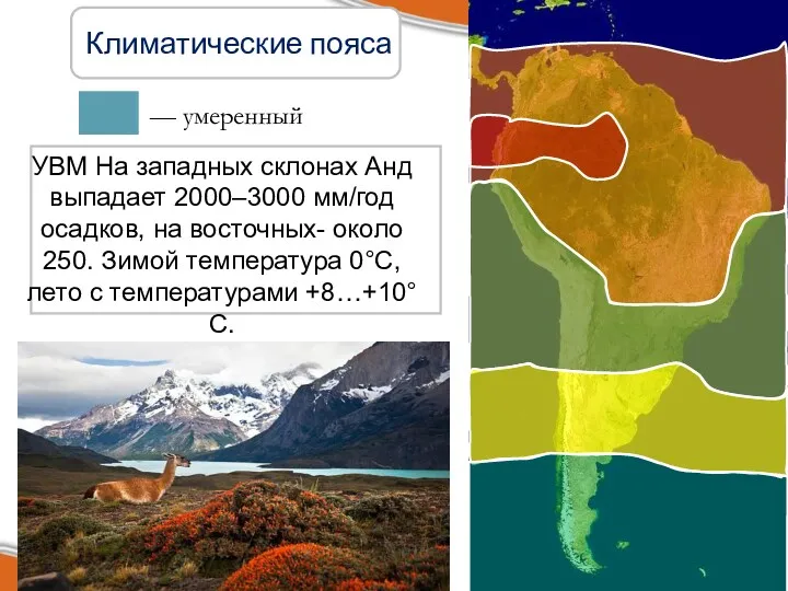 Климатические пояса — умеренный УВМ На западных склонах Анд выпадает 2000–3000 мм/год осадков,