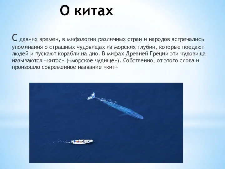 О китах С давних времен, в мифологии различных стран и народов встречались упоминания