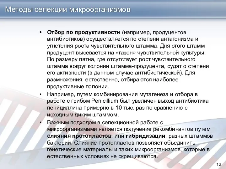 Отбор по продуктивности (например, продуцентов антибиотиков) осуществляется по степени антагонизма