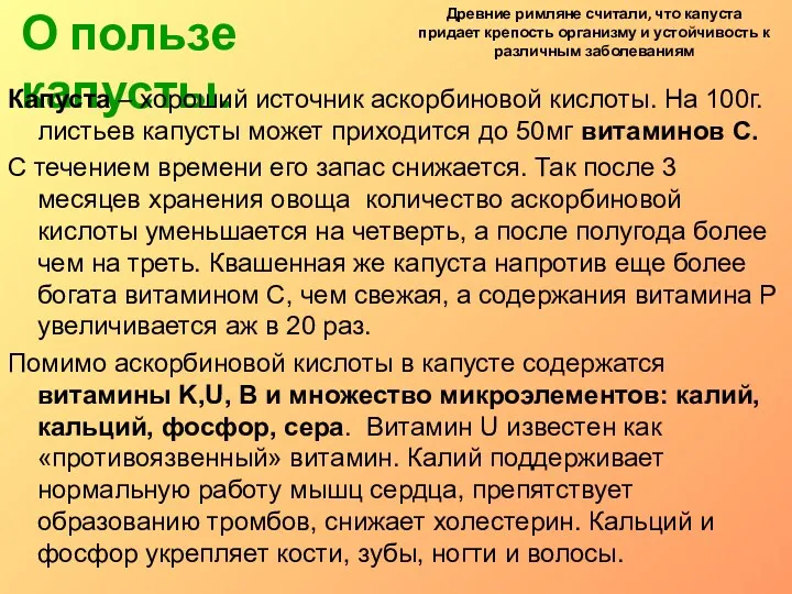 О пользе капусты. Древние римляне считали, что капуста придает крепость