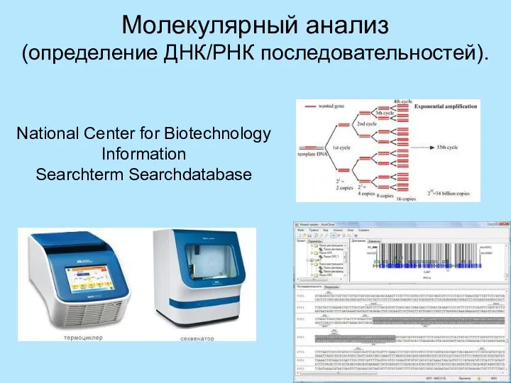 Молекулярный анализ (определение ДНК/РНК последовательностей). National Center for Biotechnology Information Searchterm Searchdatabase