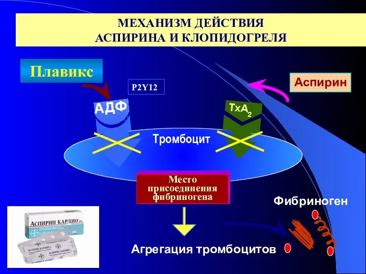 МЕХАНИЗМ ДЕЙСТВИЯ АСПИРИНА И КЛОПИДОГРЕЛЯ Агрегация тромбоцитов Фибриноген TxA2 Место