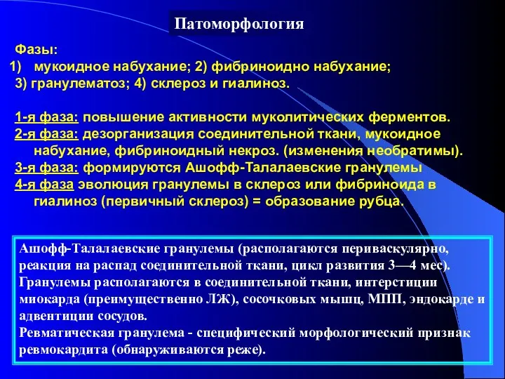 Фазы: мукоидное набухание; 2) фибриноидно набухание; 3) гранулематоз; 4) склероз