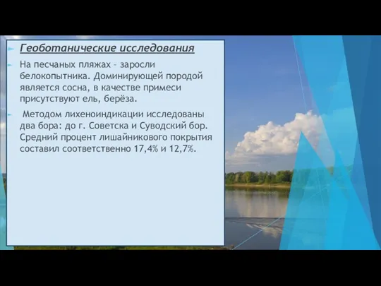 Геоботанические исследования На песчаных пляжах – заросли белокопытника. Доминирующей породой