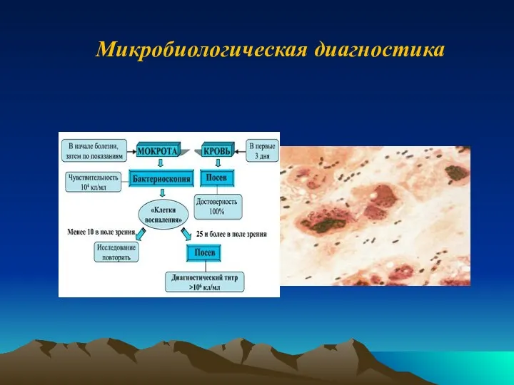 Микробиологическая диагностика