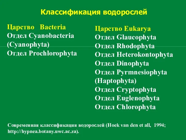Классификация водорослей Современная классификация водорослей (Hoek van den et all,
