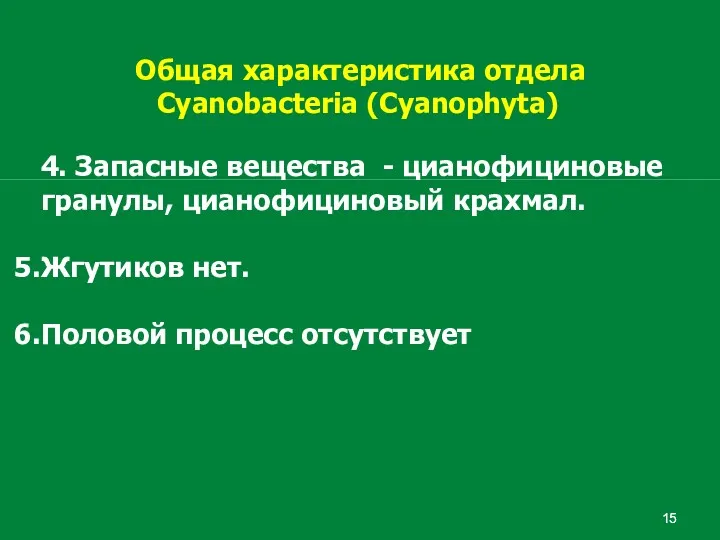 Общая характеристика отдела Cyanobacteria (Cyanophyta) 4. Запасные вещества - цианофициновые