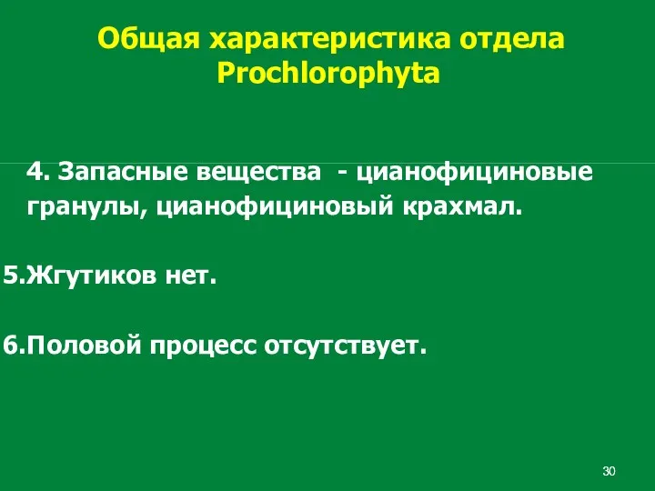 Общая характеристика отдела Prochlorophyta 4. Запасные вещества - цианофициновые гранулы,