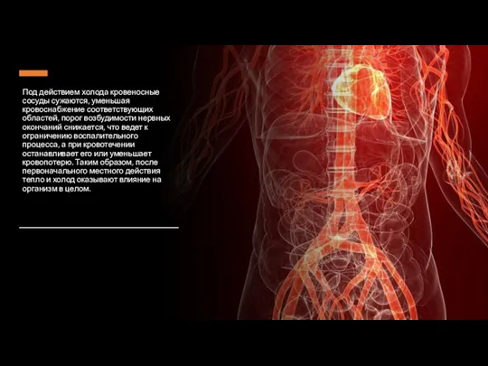 Под действием холода кровеносные сосуды сужаются, уменьшая кровоснабжение соответствующих областей,