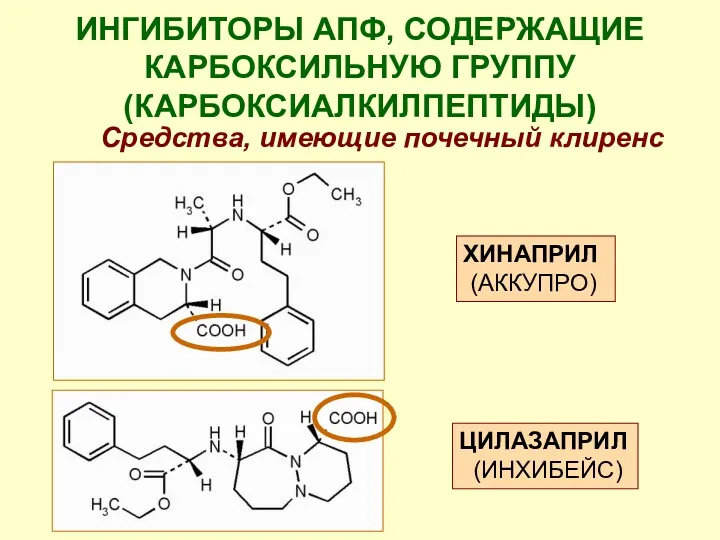 ИНГИБИТОРЫ АПФ, СОДЕРЖАЩИЕ КАРБОКСИЛЬНУЮ ГРУППУ (КАРБОКСИАЛКИЛПЕПТИДЫ) Средства, имеющие почечный клиренс ЦИЛАЗАПРИЛ (ИНХИБЕЙС) ХИНАПРИЛ (АККУПРО)