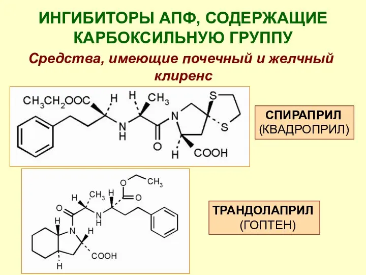 ИНГИБИТОРЫ АПФ, СОДЕРЖАЩИЕ КАРБОКСИЛЬНУЮ ГРУППУ Средства, имеющие почечный и желчный клиренс СПИРАПРИЛ (КВАДРОПРИЛ) ТРАНДОЛАПРИЛ (ГОПТЕН)