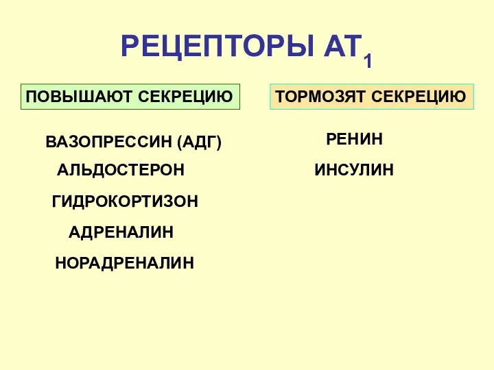 РЕЦЕПТОРЫ АТ1