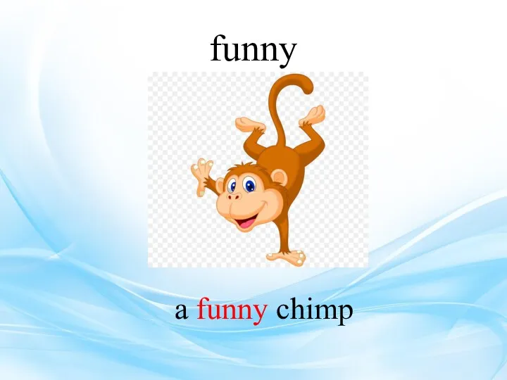 funny a funny chimp