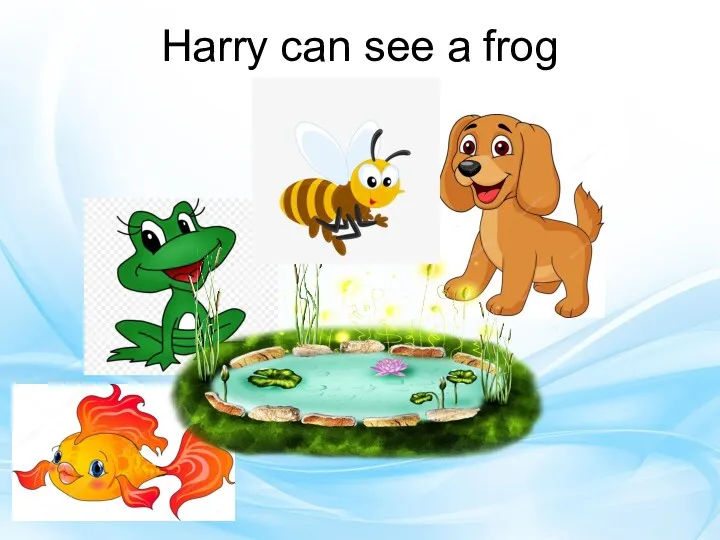 Harry can see a frog