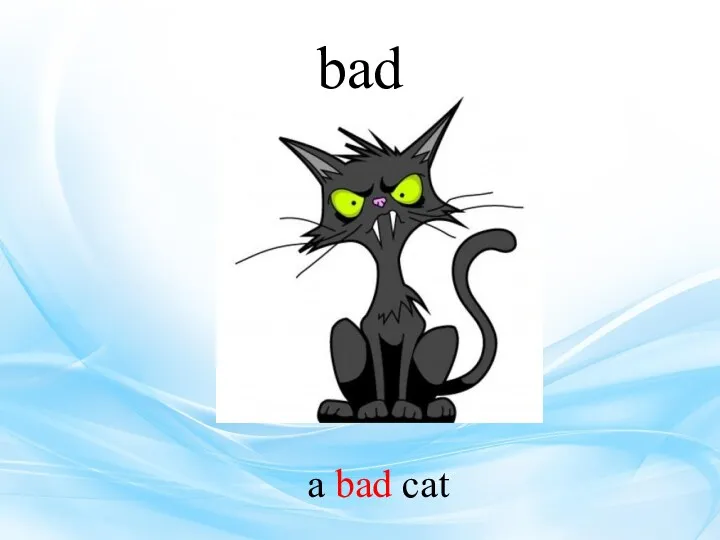 bad a bad cat