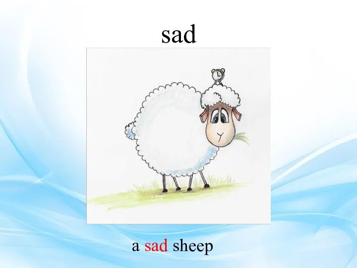 sad a sad sheep