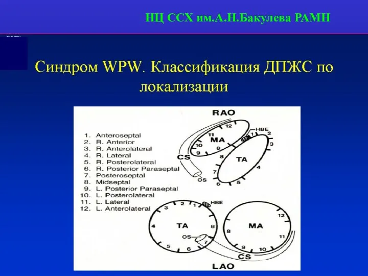 НЦ ССХ им.А.Н.Бакулева РАМН