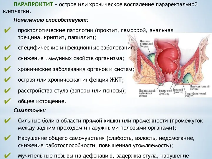 ПАРАПРОКТИТ – острое или хроническое воспаление параректальной клетчатки. Появлению способствуют: