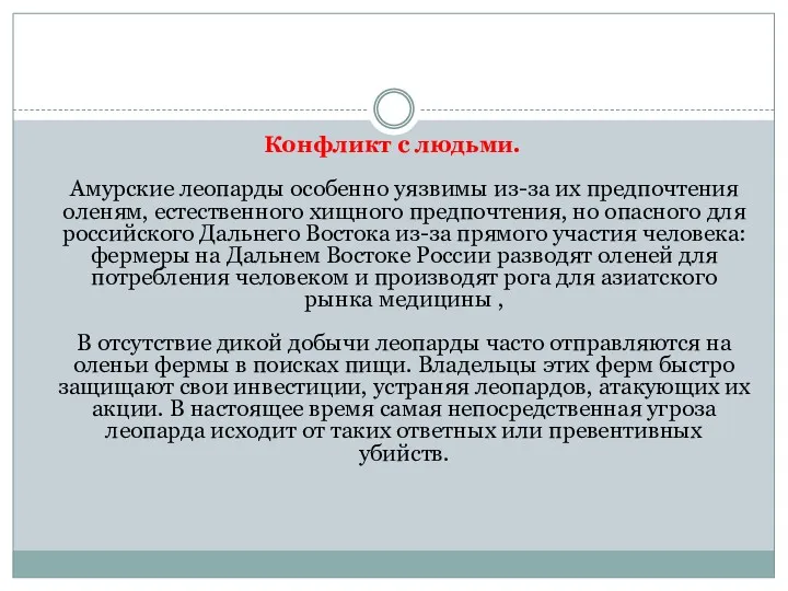 Конфликт с людьми. Амурские леопарды особенно уязвимы из-за их предпочтения