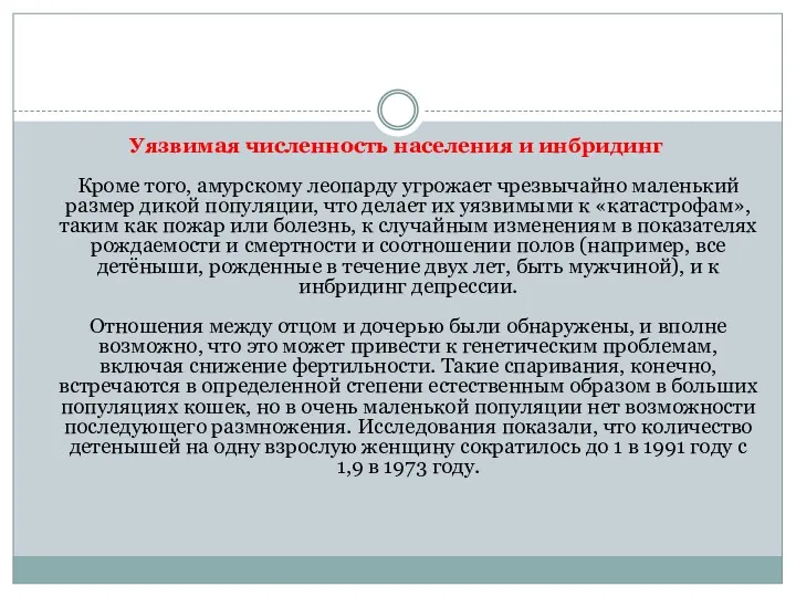 Уязвимая численность населения и инбридинг Кроме того, амурскому леопарду угрожает