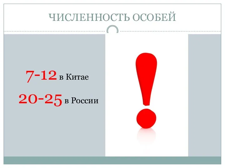 ЧИСЛЕННОСТЬ ОСОБЕЙ 7-12 в Китае 20-25 в России