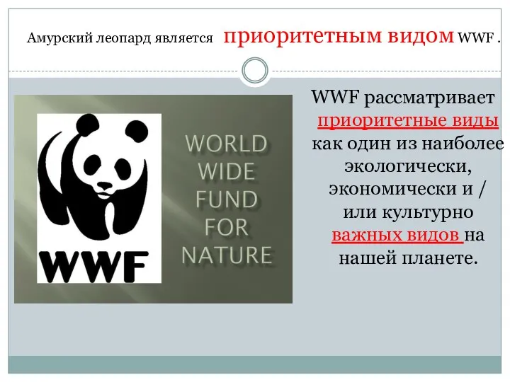 WWF рассматривает приоритетные виды как один из наиболее экологически, экономически