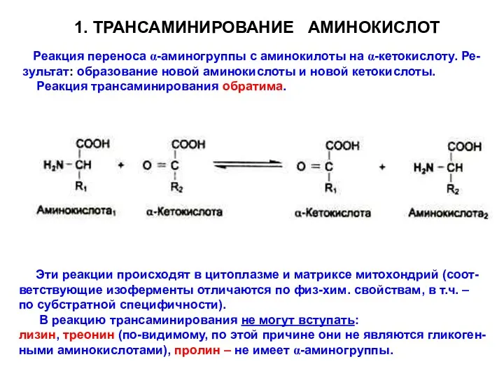 1. ТРАНСАМИНИРОВАНИЕ АМИНОКИСЛОТ Реакция переноса α-аминогруппы с аминокилоты на α-кетокислоту.