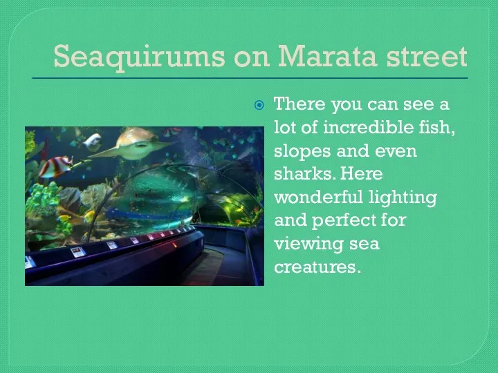 Seaquirums on Marata street There you can see a lot of incredible fish,