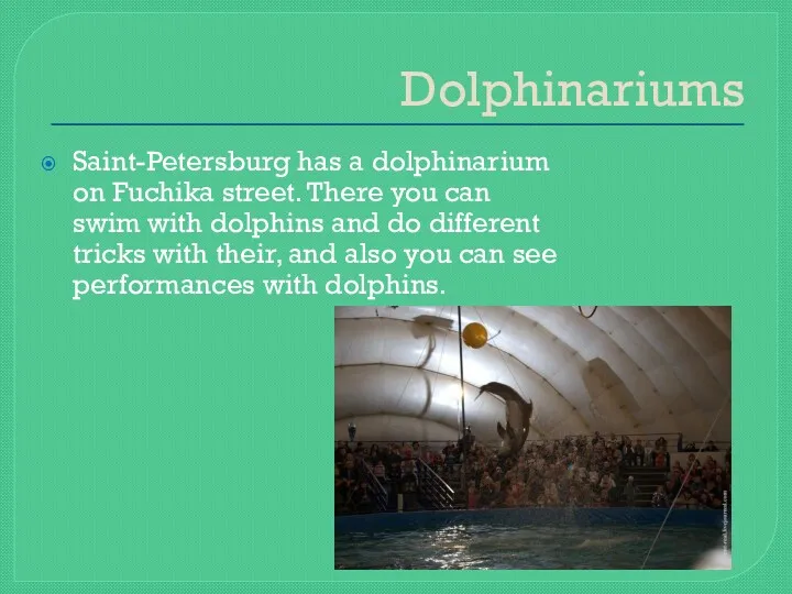 Dolphinariums Saint-Petersburg has a dolphinarium on Fuchika street. There you