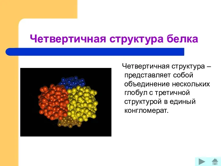 Четвертичная структура белка Четвертичная структура – представляет собой объединение нескольких глобул с третичной