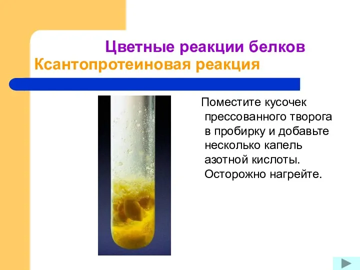 Цветные реакции белков Ксантопротеиновая реакция Поместите кусочек прессованного творога в пробирку и добавьте
