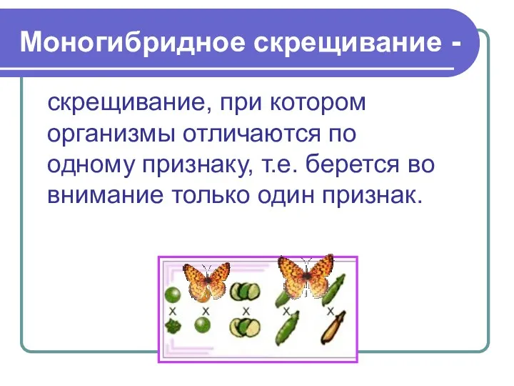 Моногибридное скрещивание - скрещивание, при котором организмы отличаются по одному