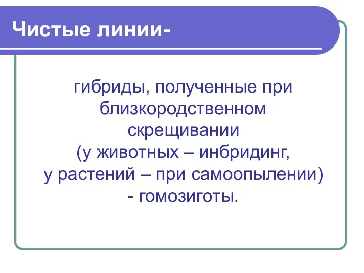 Чистые линии- гибриды, полученные при близкородственном скрещивании (у животных –