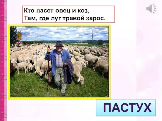 Кто пасет овец и коз, Там, где луг травой зарос. ПАСТУХ