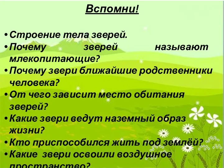 Вспомни! Строение тела зверей. Почему зверей называют млекопитающие? Почему звери ближайшие родственники человека?