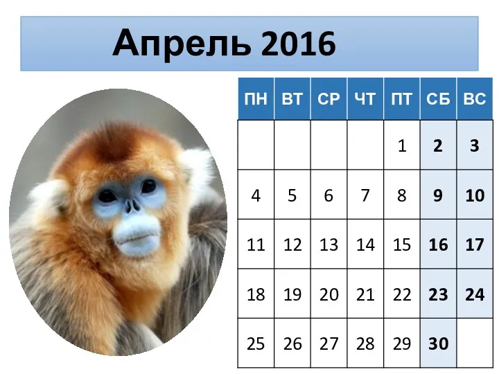 Апрель 2016