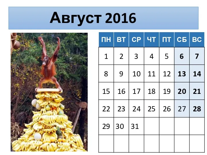 Август 2016