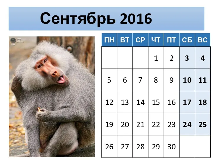 Сентябрь 2016