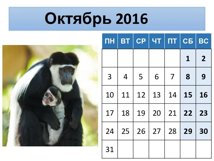 Октябрь 2016