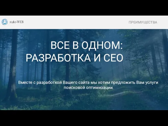 О КОМПАНИИ ВСЕ В ОДНОМ: РАЗРАБОТКА И СЕО Вместе с разработкой Вашего сайта