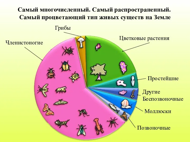 Самый многочисленный. Самый распространенный. Самый процветающий тип живых существ на