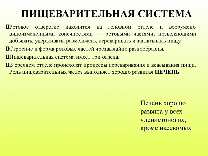 Ротовое отверстие находится на головном отделе и вооружено видоизмененными конечностями